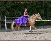 1-13JUIN 0617
